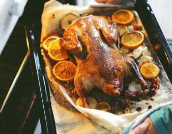 mallard