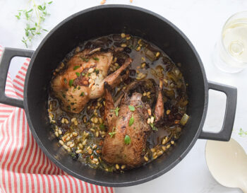 Partridge